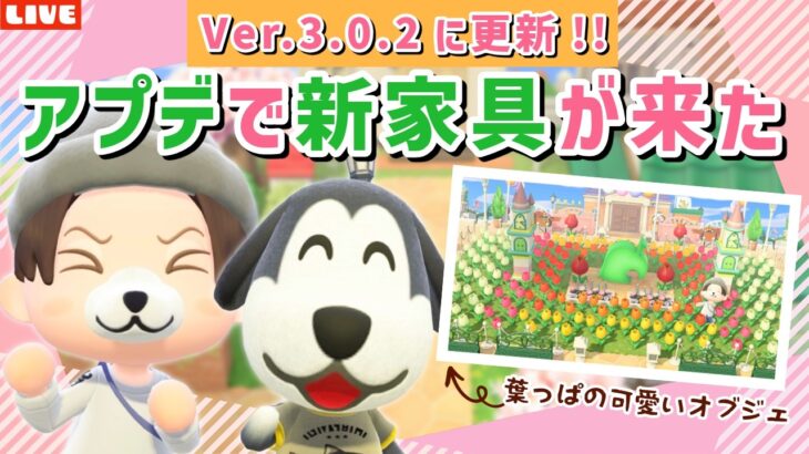 【あつ森】まさかのアプデで新家具追加！カラフル可愛いわんこ住民の暮らす街を作るLIVE配信【あつまれ どうぶつの森】