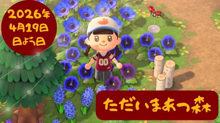 🔴【あつ森】No耐久✖｜ただいま1年4か月ぶりのあつ森｜どうぶつの森25周年おめでとうございます｜Ver.3.0.2アプデ｜ここなっつ島｜#214