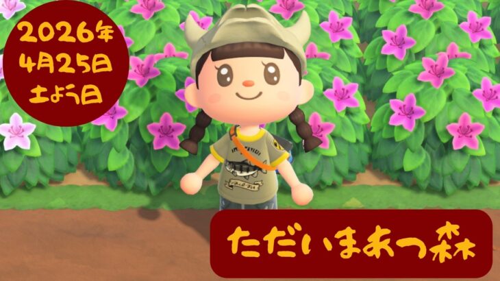 🔴【あつ森】No耐久✖｜低木を植え替える｜1年4か月ぶりのあつ森｜どうぶつの森25周年おめでとうございます｜Ver.3.0.2アプデ｜ここなっつ島｜#215