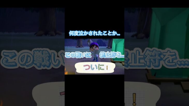 #Rainの一人暮らし#あつまれどうぶつの森#あつ森#虫取り