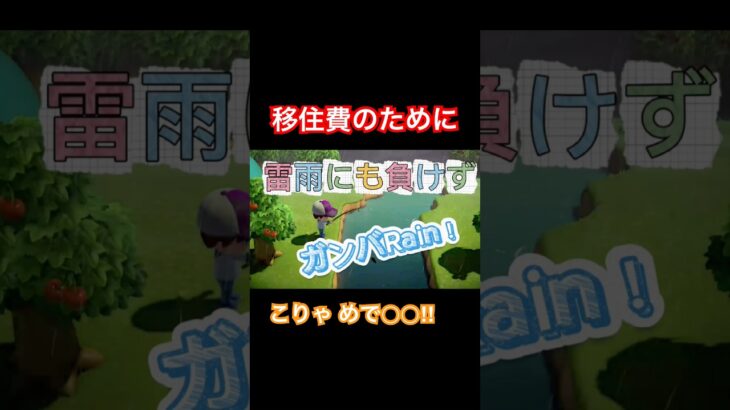 #Rainの一人暮らし#あつまれどうぶつの森#あつ森#移住費