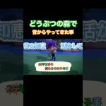 #Rainの一人暮らし#あつまれどうぶつの森#あつ森#お金の木#光る地面