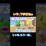 #Rainの一人暮らし#あつまれどうぶつの森#あつ森#写真