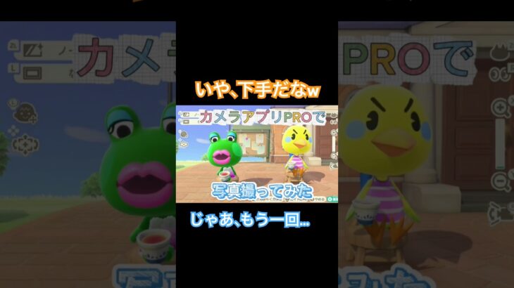 #Rainの一人暮らし#あつまれどうぶつの森#あつ森#写真