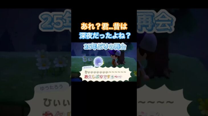 #Rainの一人暮らし#あつまれどうぶつの森#あつ森#おばけ#ゆうたろう#たましい #AnimalCrossing