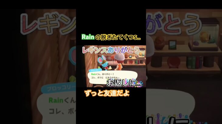 #Rainの一人暮らし#あつまれどうぶつの森 #あつ森 #animalcrossing #靴下