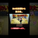 #Rainの一人暮らし#あつ森 #あつまれどうぶつの森 #animalcrossing #住民
