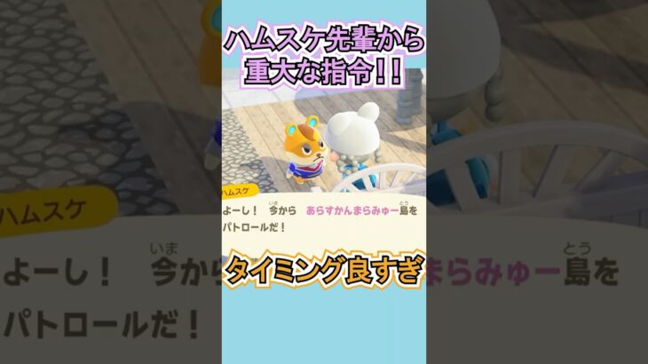 ハムスケ、ヒーローすぎるんだけど笑【あつ森】 #Shorts #あつ森