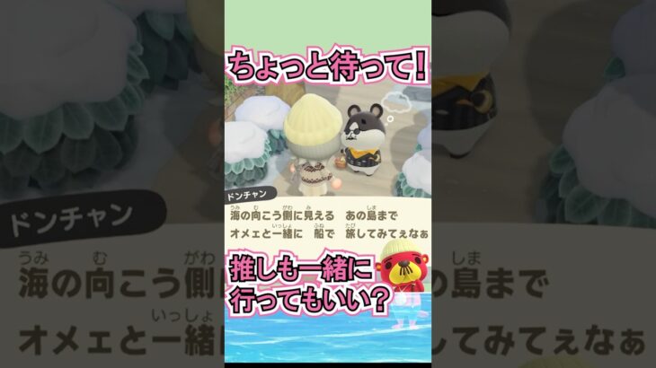 ドンチャン、旅に行くなら推しも一緒に…【あつ森】 #Shorts #あつ森