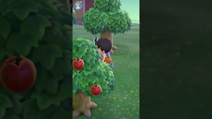 【あつ森】誕生日に奇跡！超レアな金鉱石をゲットする瞬間✨ #Shorts