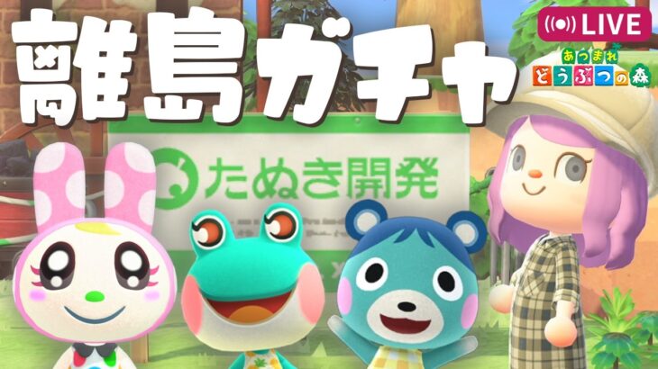 【あつ森】新しい島づくりに向けて離島ガチャ｜Switch2【あつまれどうぶつの森】LIVE #あつ森