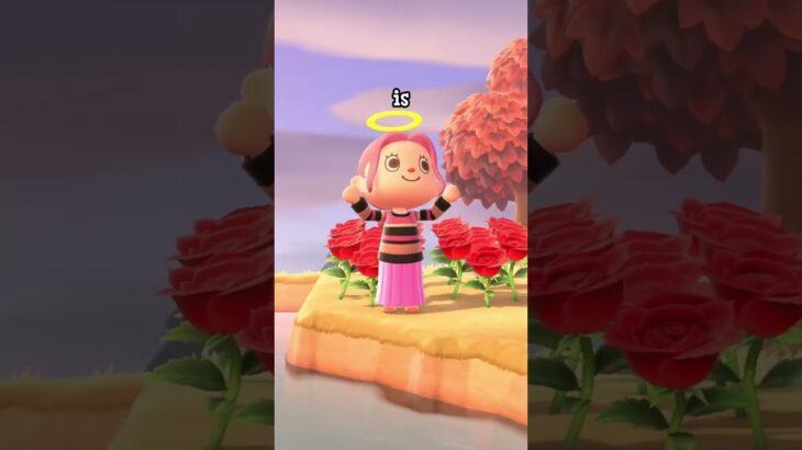 Top 10 most popular animal crossing villagers #nintendoswitch #3ds #nintendo #amiibo #animalcrossing