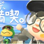 【あつ森】ホテルのVIPルーム作り配信 作業用・寝落ちにも【あつまれ どうぶつの森/VTuber】