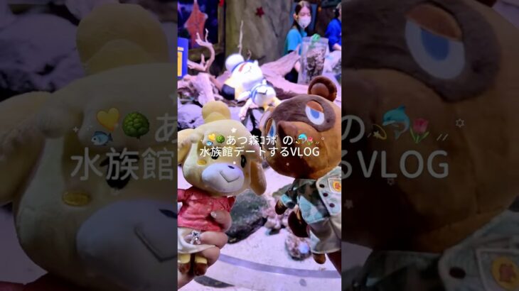 あつ森水族館デートVLOG💫🐟🌳 可愛いくて楽しかった🫶🏻🎀#animalcrossing #社会人vlog #日常vlog #1日vlog #vlog #あつ森 #どうぶつの森