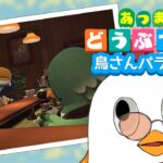 【あつまれどうぶつの森】たまごあつめしたいあつ森【新人Vtuber】