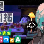 【あつ森】深夜早朝に島をドカ工事して住民をビビらせる【あのにむ/個人Vtuber】