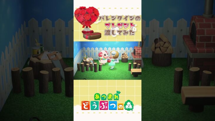 【あつまれどうぶつの森 】バレンタインプレゼント渡してみた！④【新人Vtuber/小花ぺち】 #shorts #あつ森 #あつまれどうぶつの森 #animalcrossing #acnh