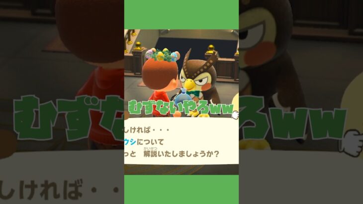 【あつ森ショート】初！素潜り！！生き物の名前って難しいなっ🤨！#あつ森 #animalclossing #ゲーム配信 #しゅまのゲーム帳