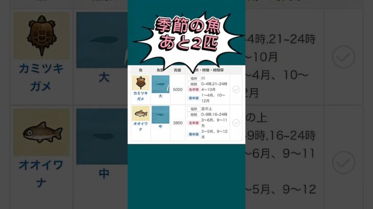 【 #あつ森 #animalcrossing #あつまれどうぶつの森 】続きの魚を釣るょ〜🎣