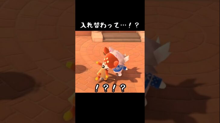 【あつ森】無邪気に遊んでいたらシベリアとドレミがバグって焦った… #あつ森  #あつ森ショート  #あつまれどうぶつの森  #animalcrossing  #ゲーム