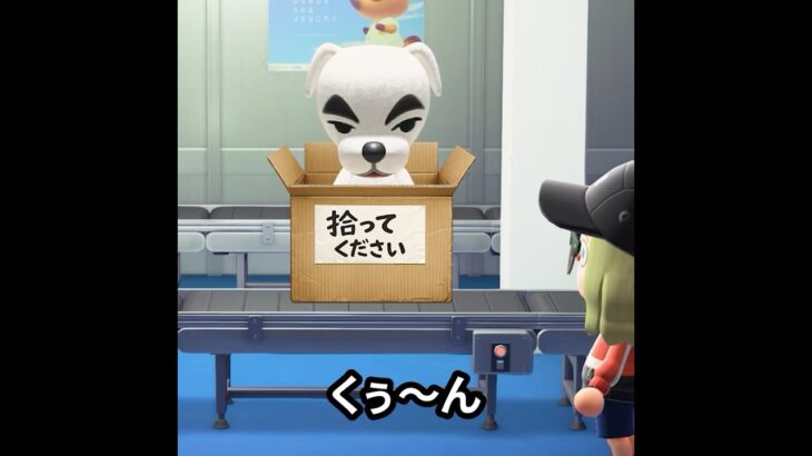 空港の変な荷物 #あつ森 #animalcrossing #あつまれどうぶつの森