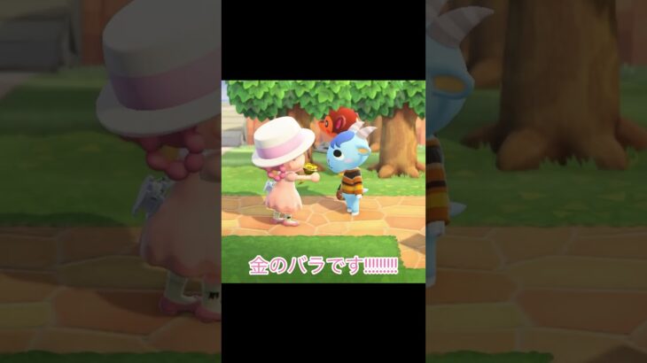 推しから写真貰えました!!!!!!#あつ森 #あつまれどうぶつのもり #あつまれどうぶつのもり #あつまれどうぶつの森 #ゲーム実況 #ゲーム #animalcrossing #どうぶつの森 #実況