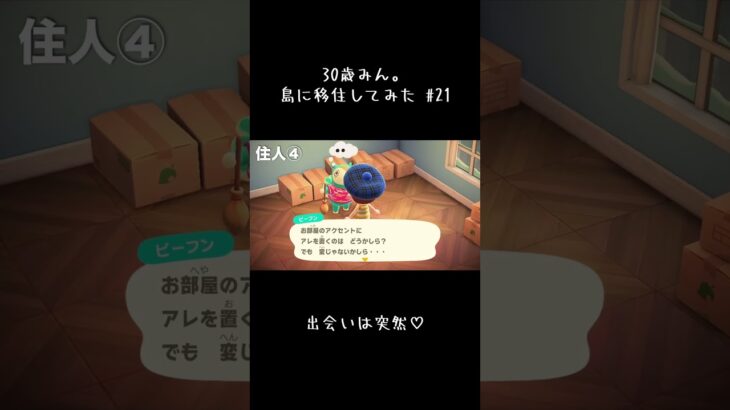 #あつ森 #始まってるよ #あつまれどうぶつの森 #あつ森初心者 #ゲーム #あつ森ライフ #animalcrossing #のんびり