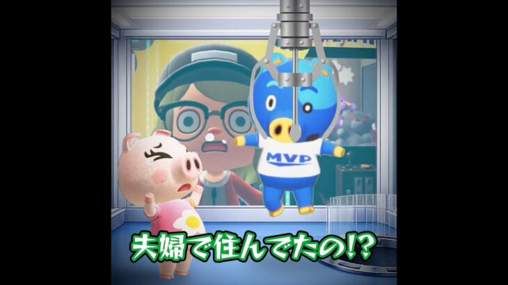 クレーンゲームに住んでるヤツ#あつ森 #animalcrossing #あつまれどうぶつの森