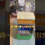 保育士辞めたい女 記録⑧  あつ森一番くじ再販ありがとう 初バイト代ゲット #あつ森 #animalcrossing #あつまれどうぶつの森 #一番くじ #保育士 #副業