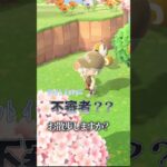 もんぺ殿と仲良くなりたいだけなの #あつ森 #あつまれどうぶつの森 #animalcrossing