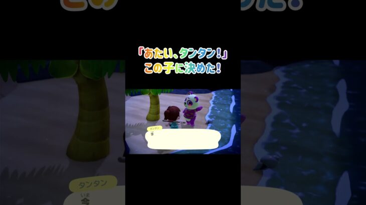 【あつ森　住民ガチャ】タンタン！この子に決めた！ #あつ森 #あつまれどうぶつの森 #animalcrossing