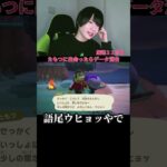 たもつと出会ったらデータ消去あつもり　#あつ森 #animalcrossing