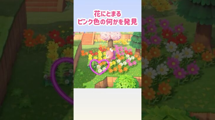 【あつ森】ハナカマキリを捕まえた！#あつまれどうぶつの森 #animalcrossing