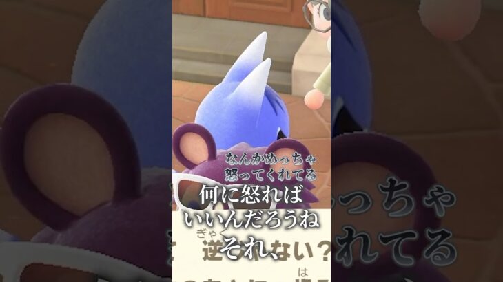 ブーケちゃんそんなに怒らないの #あつ森 #あつまれどうぶつの森 #animalcrossing