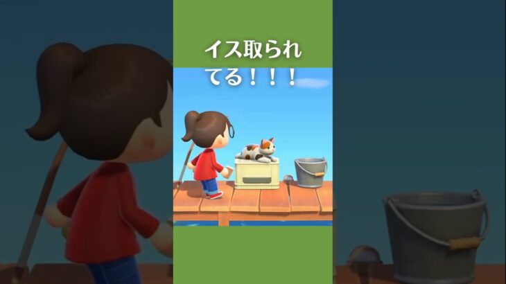 【あつ森】ねこにイスを取られた？！ねこのぬいぐるみを使った島クリアイディア｜ #あつ森 #あつまれどうぶつの森 #animalcrossing #acnh #ゲーム