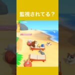 【あつ森】ビーチでお昼寝していたら…？｜ねこのぬいぐるみを使った島クリアイディア｜砂浜編 #あつ森 #あつまれどうぶつの森 #animalcrossing #acnh #ゲーム