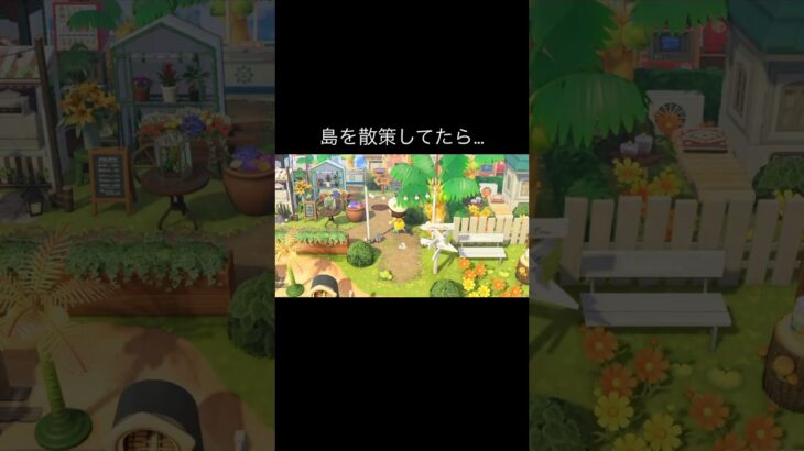 恐怖の観光客😱 #あつ森 #あつまれどうぶつの森 #あつ森好きな人と繋がりたい #animalcrossing #おかめなっ島 #acnh #キメラ #shorts #恐怖 #cozygames