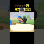 【あつ森】アチョットに似合いそうな帽子をあげる #あつ森 #あつまれどうぶつの森 #どうぶつの森 #animalcrossing  #animalcrossingnewhorizons
