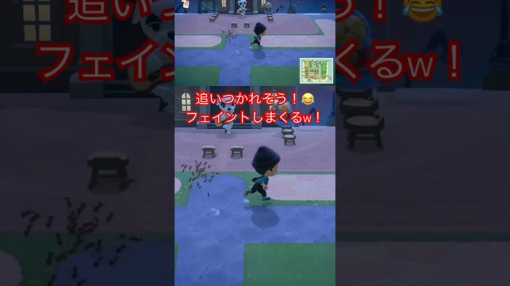 【あつ森】追いつかれそうで追いつかれない😂フェイントかけまくっても蜂を引き離せんのん？🥺💦 #あつ森 #あつまれどうぶつの森 #どうぶつの森 #animalcrossing #shorts