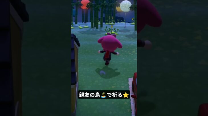 親友の🏝️の流星群⭐️#あつ森 #animalcrossing #switch #任天堂 #ゲーム#daily#animal#switch2#gaming  #vlog #cute #games