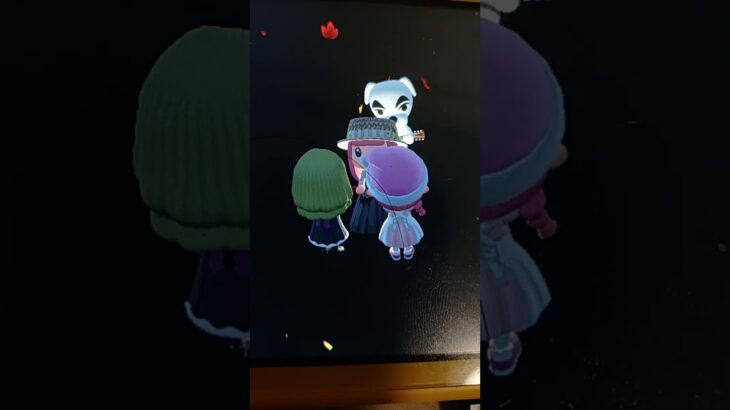 #あつまれどうぶつの森 けけアイドル #あつまれどうぶつの森 #あつ森 #animalcrossingnewhorizons #animalcrossing #ゲーム