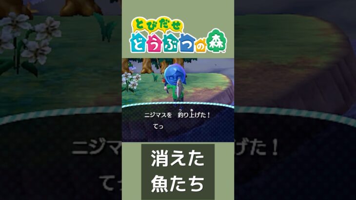 あつ森から消えた魚【どう森e+→とび森】