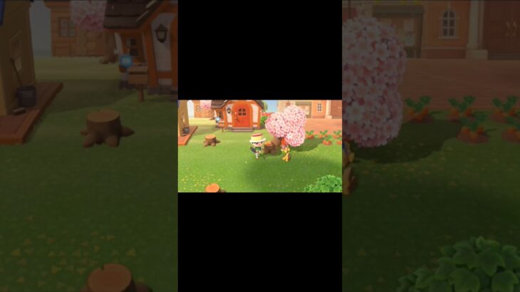 #あつ森 やってみた！#gaming #あつまれどうぶつの森 あつまれ