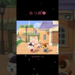 あつ森🌳　ヨガのポーズ　in  ようこそわたしのしまへ♪music