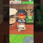 あつ森🌲 mini vlog  #animalcrossingnewhorizons #slowlife