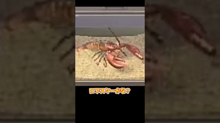 【あつ森】　水槽を　on　off　しよう