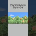 【あつ森】木に登った猫たちを捕まえたいちゃちゃまる。魚を餌におびき出そうとしたけど、魚が釣れなくて😂【あつまれどうぶつの森】【どうぶつの森】 #short