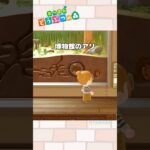 【あつ森小ネタ】フータ、気づかないで…！#shorts  #あつ森  #あつまれどうぶつの森