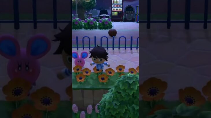 【あつ森】こいつの気持ちを知りたい。　#shorts #あつ森