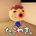 【あつ森】キャンプサイトに関西人現る！！ #あつ森#shorts #あつまれどうぶつの森 #たこやき